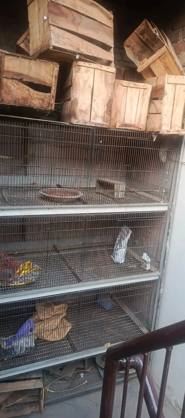 large size iron cage — photo 3