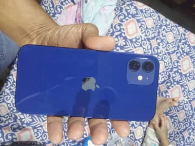 Apple iPhone 12