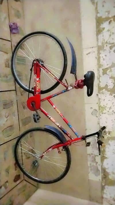 sports cycle Dubai import