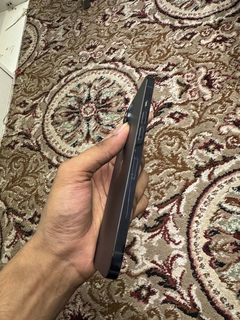 Apple iPhone 12 Pro Max 1