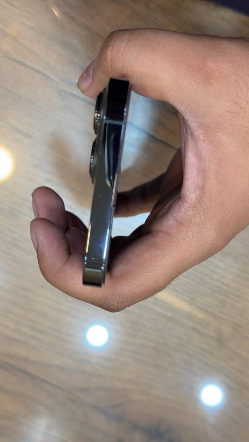 Apple iPhone 13 Pro Max 2