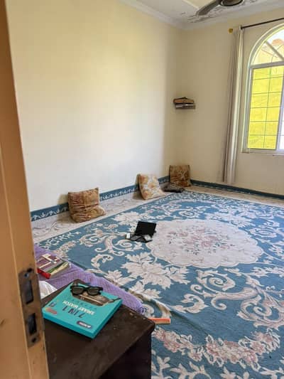 Dubai imported turkish heavy thick carpet 16x13 Feet for sale
