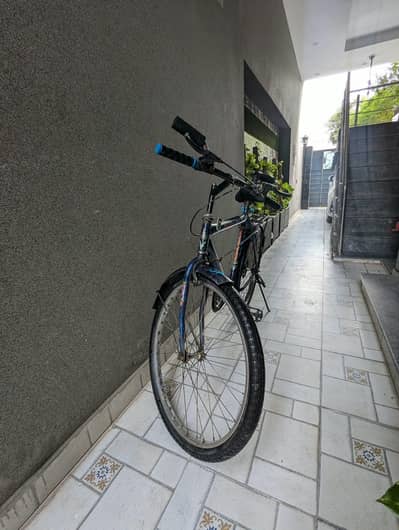 mountain cycle