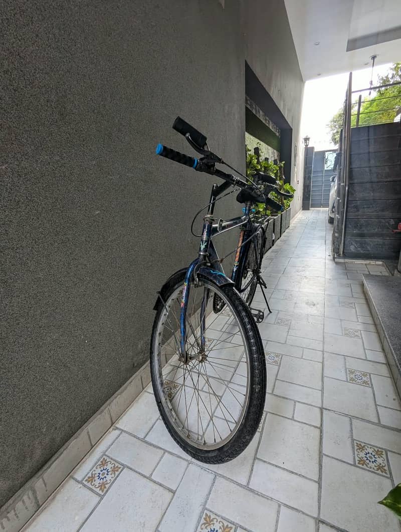 mountain cycle 0