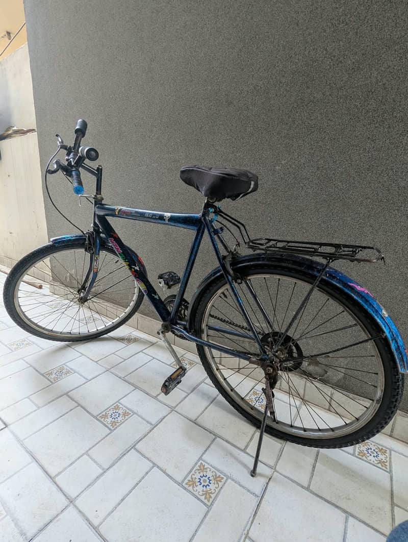 mountain cycle 2
