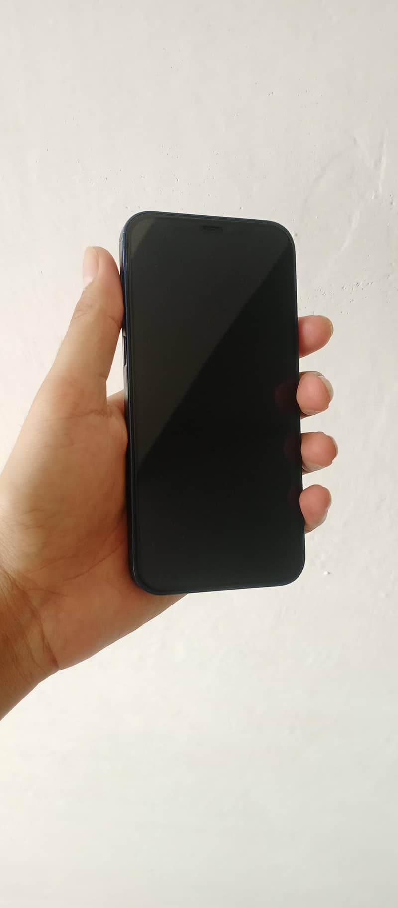 Apple iPhone 12 2