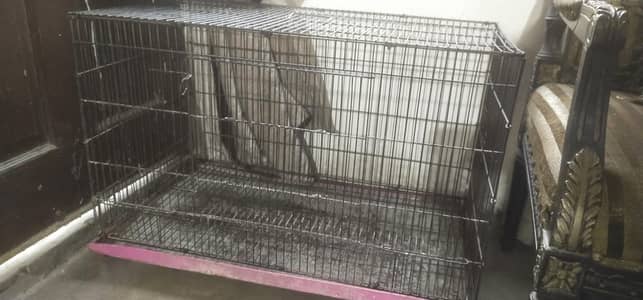 2.5 feet by 1.5 feet cage urgent sale