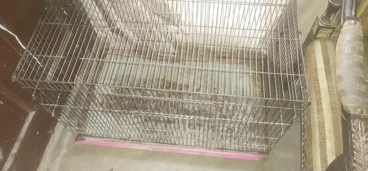 2.5 feet by 1.5 feet cage urgent sale — photo 4