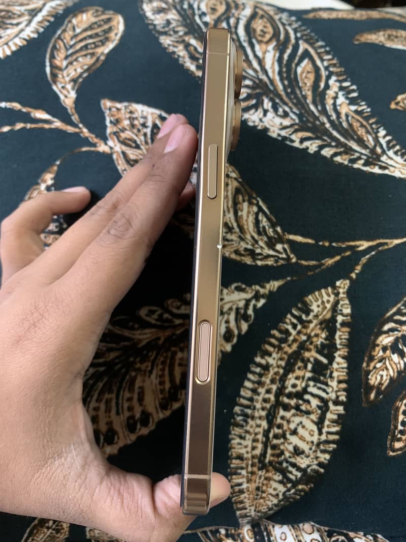 Apple iPhone 16 Pro Max 3