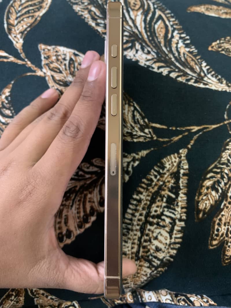 Apple iPhone 16 Pro Max 4
