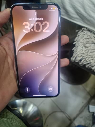 Apple iPhone 12