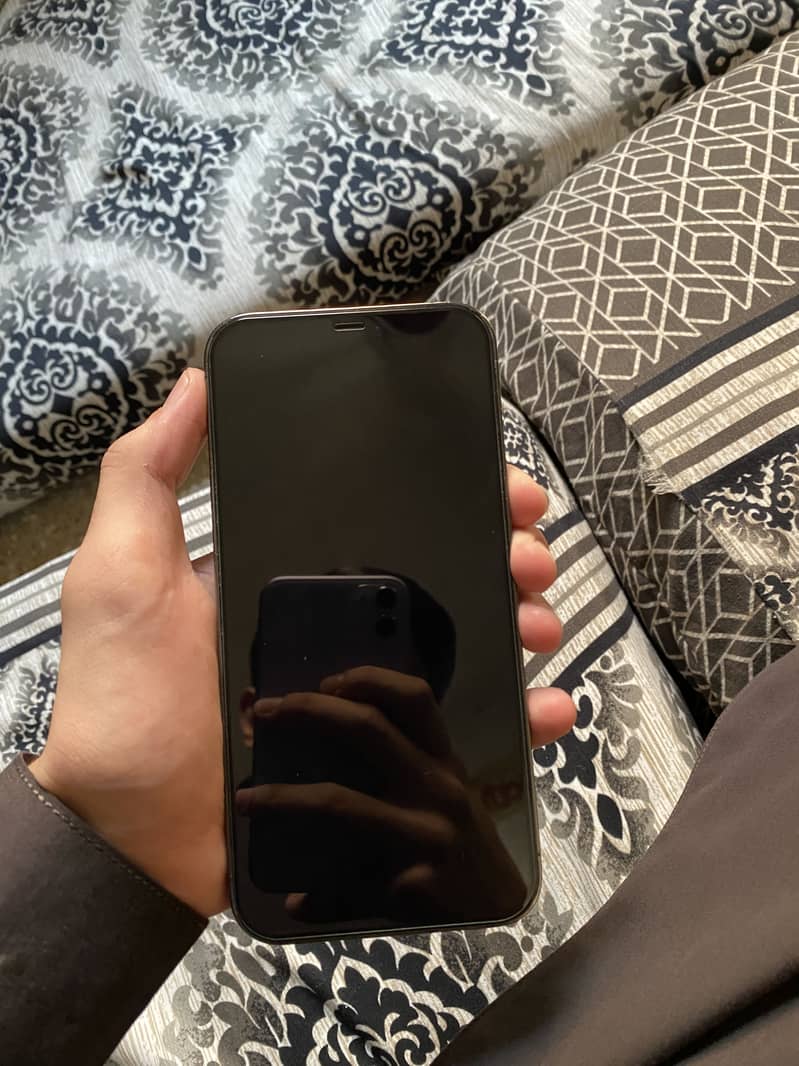 Apple iPhone 12 Pro Max 3