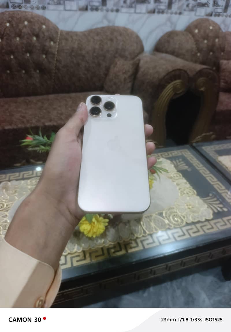 Apple iPhone 16 Pro Max 0