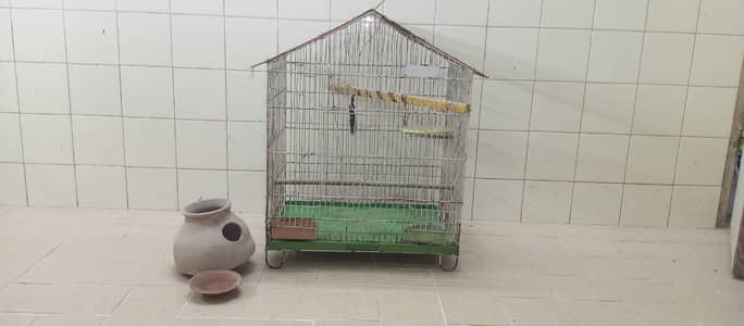 Good Condition Birds Cauge For Sale