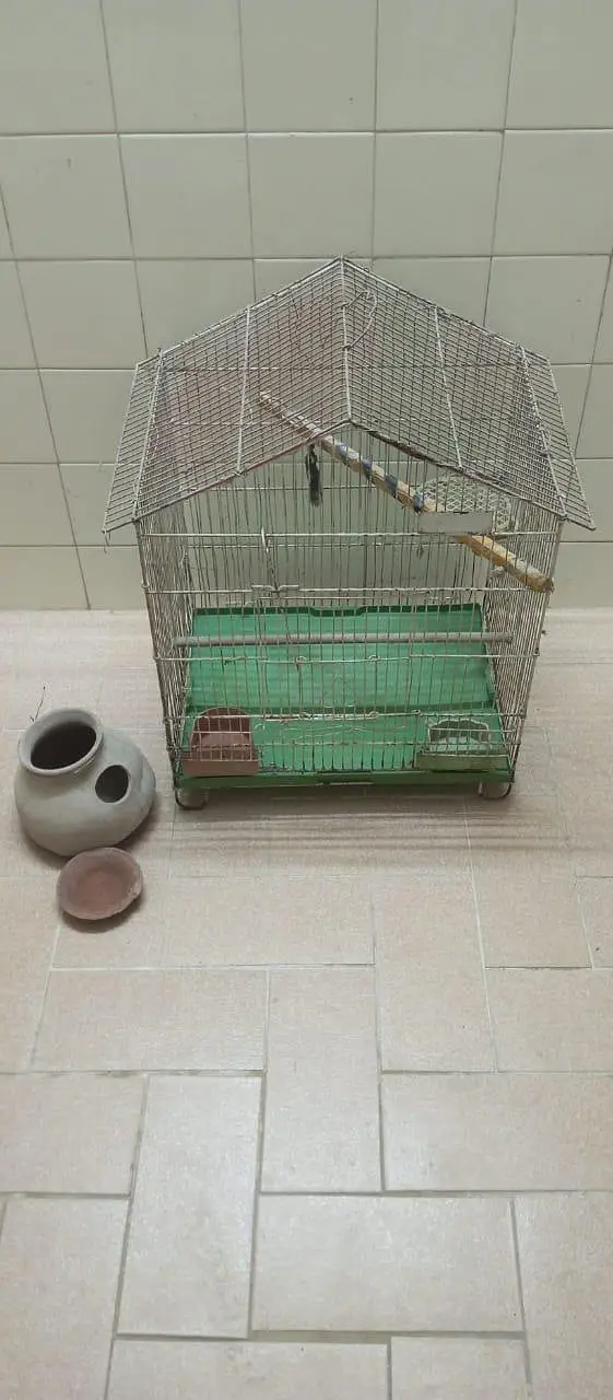 Good Condition Birds Cauge For Sale — photo 2