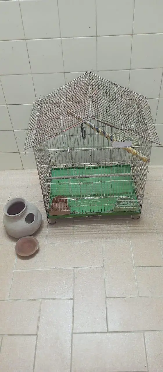 Good Condition Birds Cauge For Sale — photo 3
