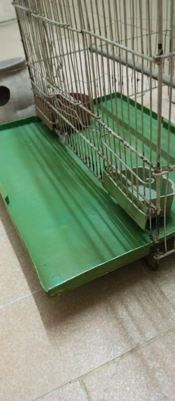 Good Condition Birds Cauge For Sale — photo 4