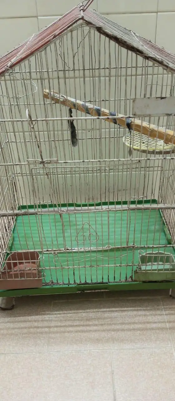 Good Condition Birds Cauge For Sale — photo 8