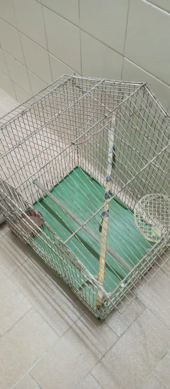 Good Condition Birds Cauge For Sale — photo 9