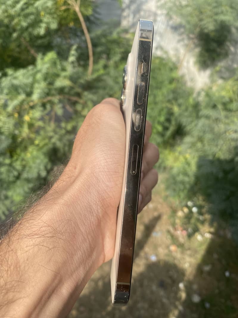 Apple iPhone 13 Pro Max 2