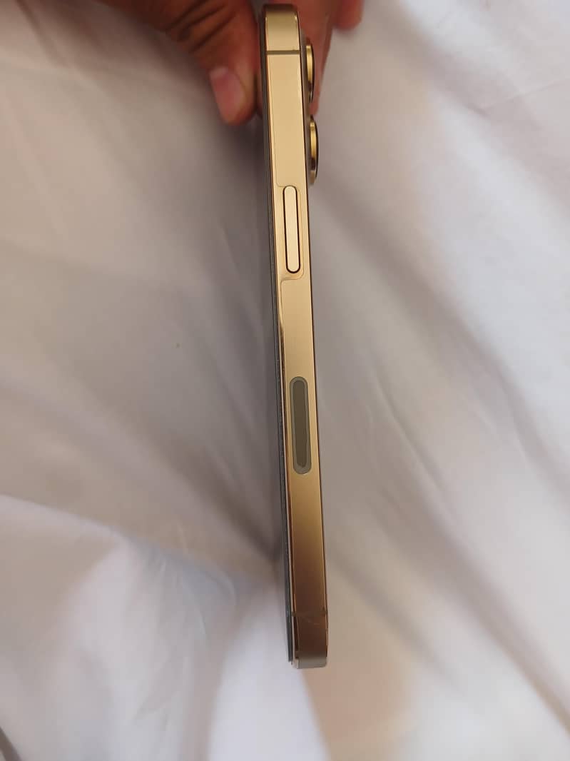 Apple iPhone 13 Pro 2