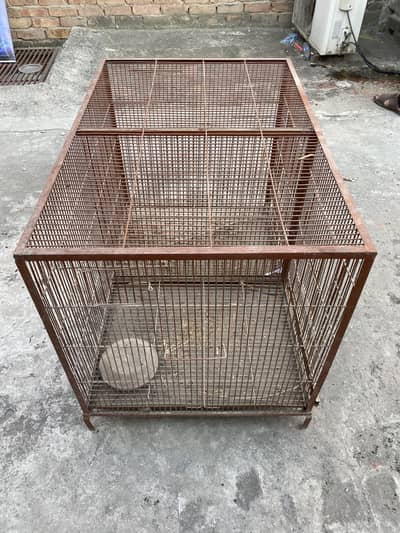 Hen & parrots cage for sale