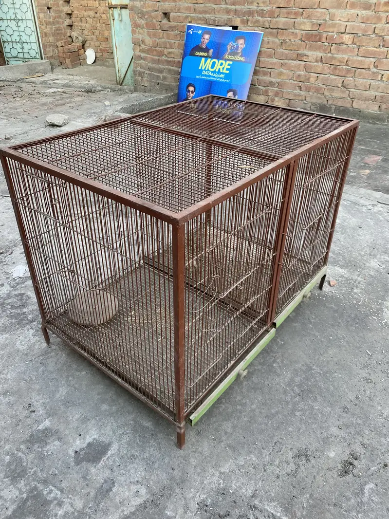 Hen & parrots cage for sale — photo 2