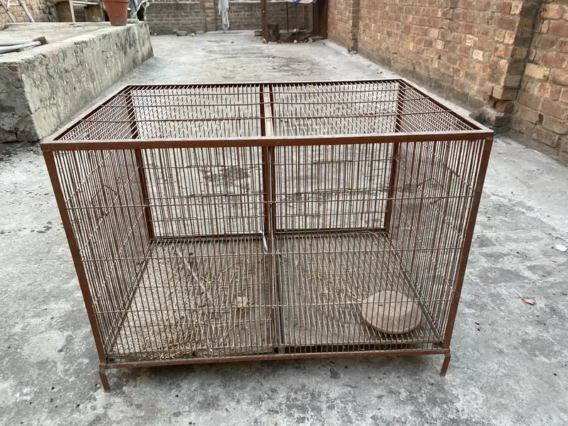 Hen & parrots cage for sale — photo 3