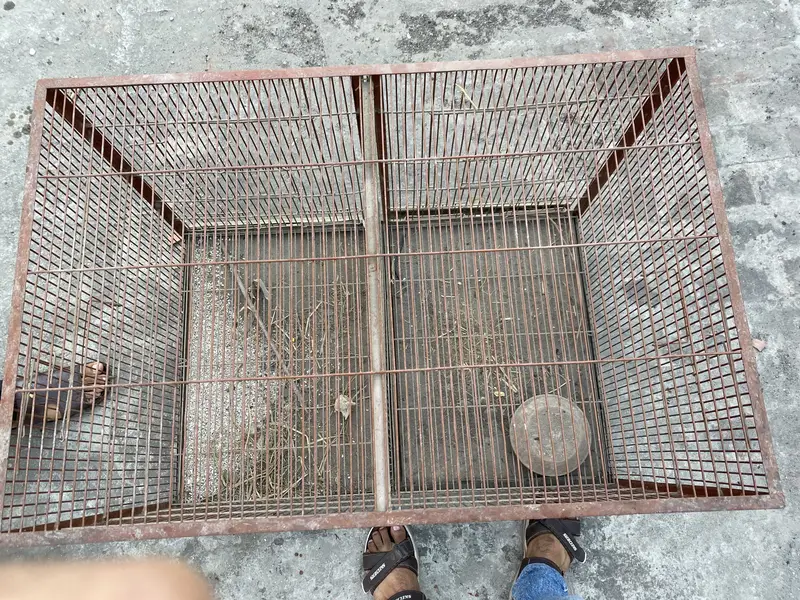 Hen & parrots cage for sale — photo 4