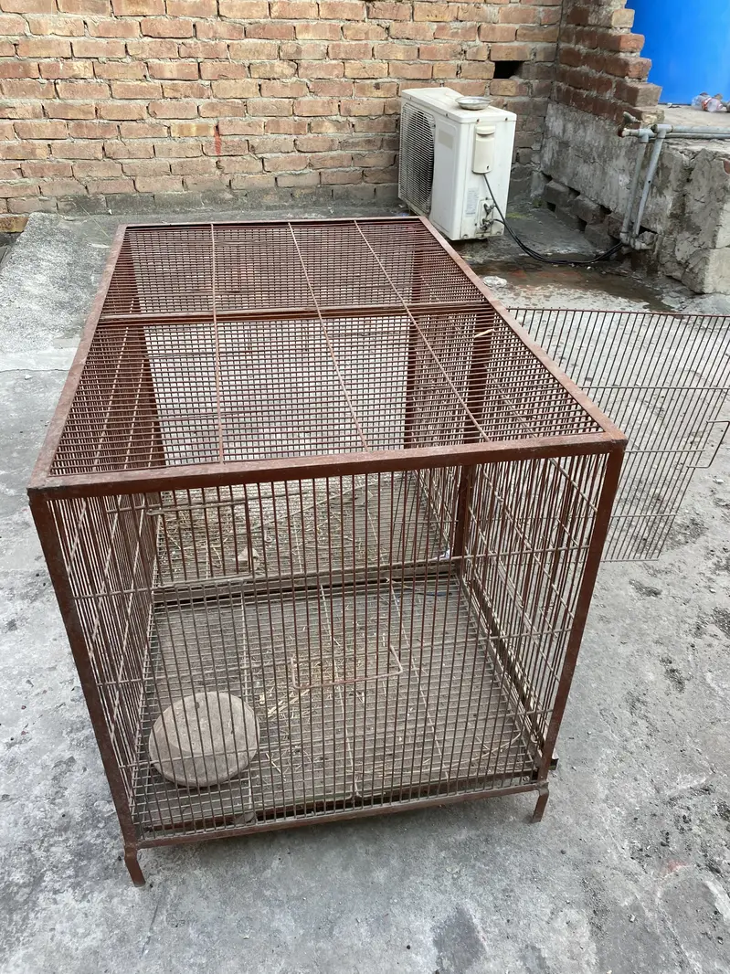 Hen & parrots cage for sale — photo 5
