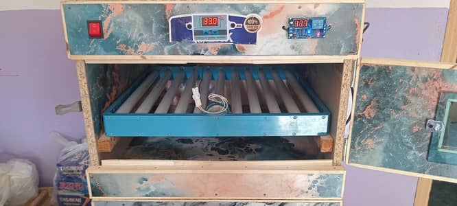 80 eggs automatic incubator