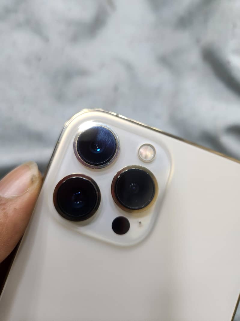 Apple iPhone 13 Pro Max 1
