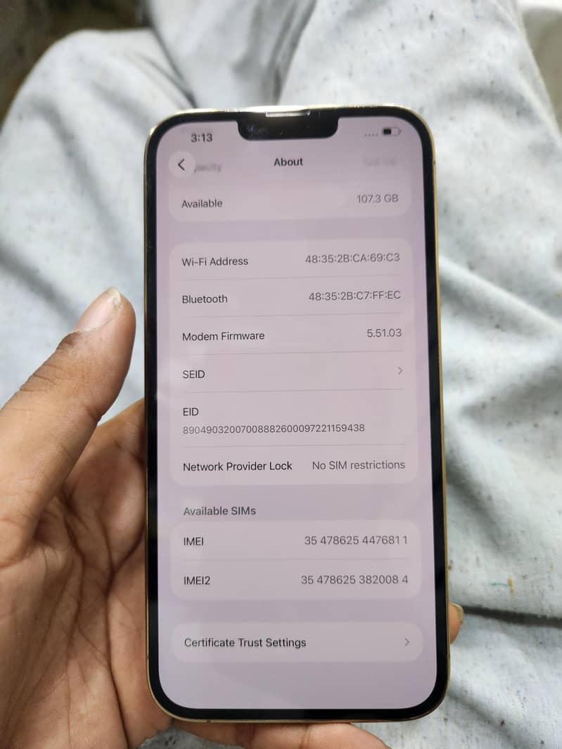 Apple iPhone 13 Pro Max 2