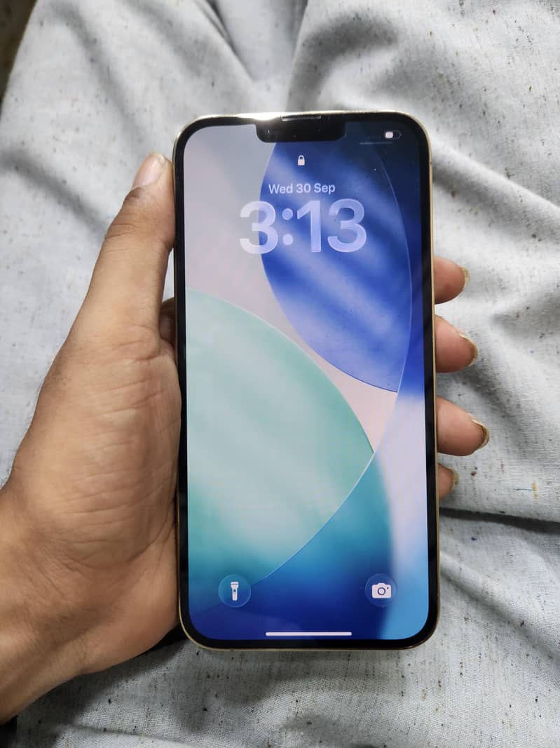 Apple iPhone 13 Pro Max 8