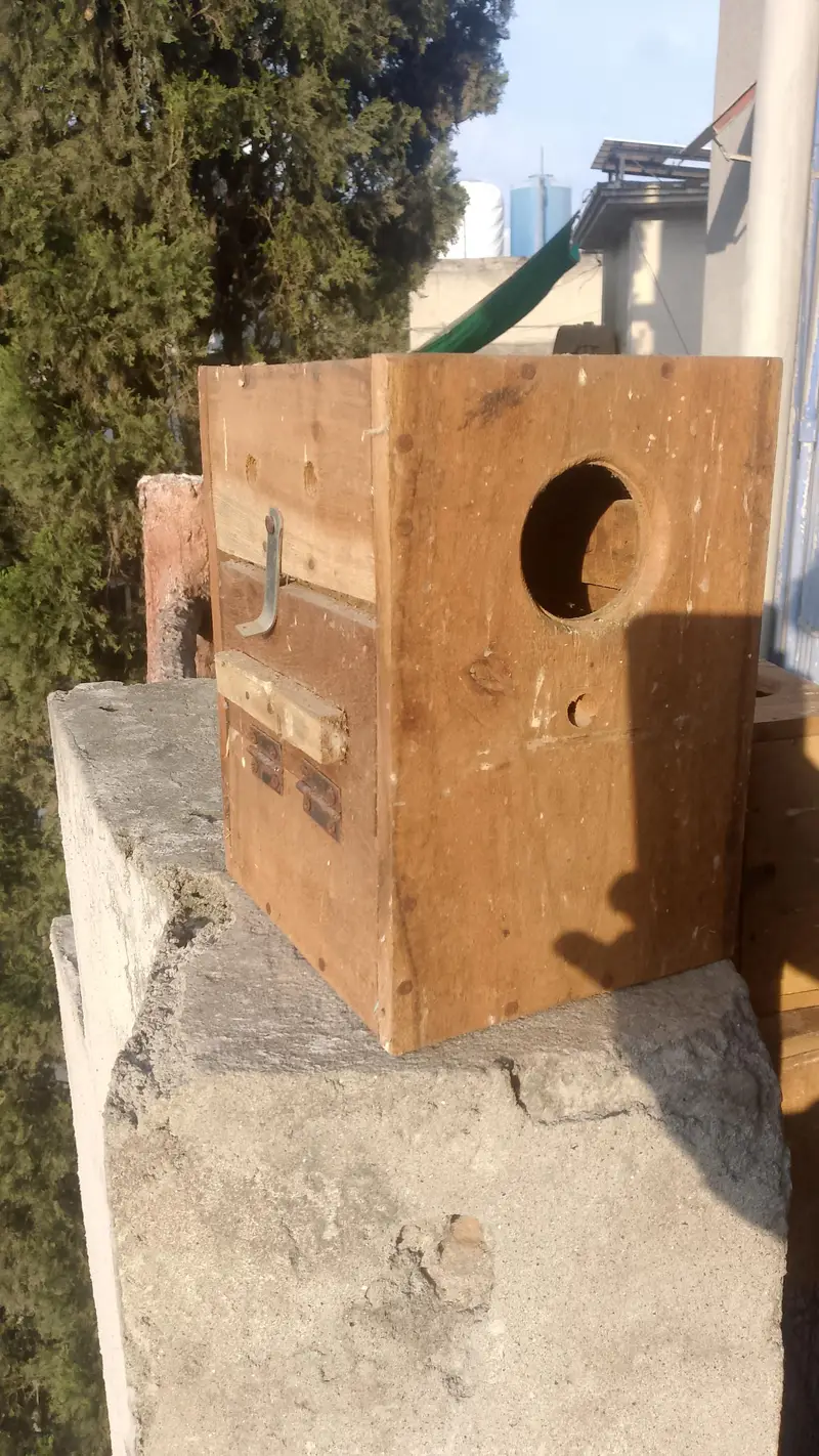 Kiker Boxes For Birds — photo 3