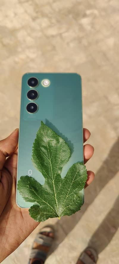vivo y100