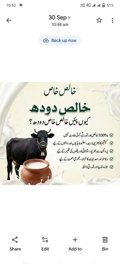cow milk