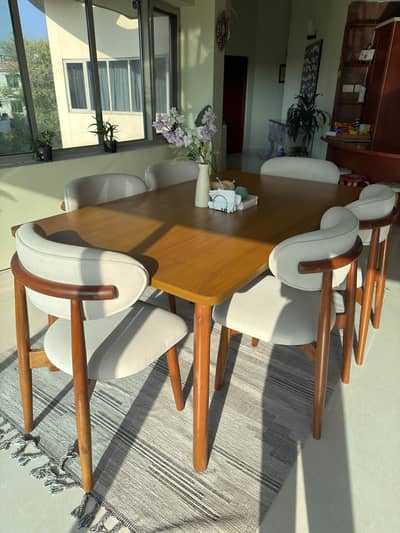 6-Seater Dining Table Set with 6 Chairs