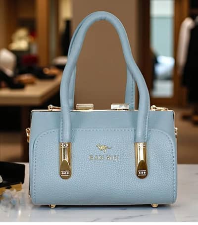 ladies handbag
