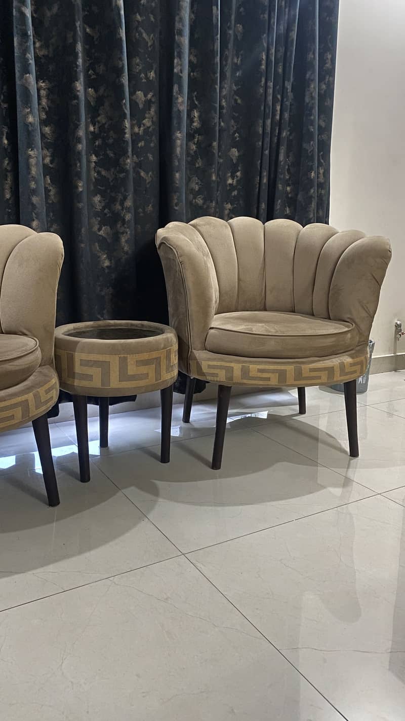 Sofa seat pair 2