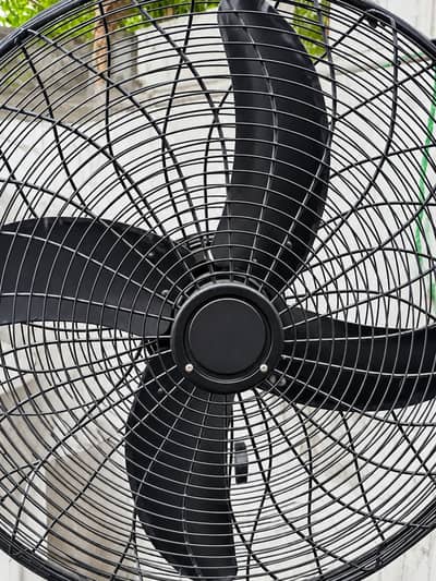 Fan for sale
