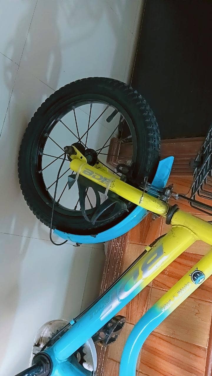 BDF brand 0