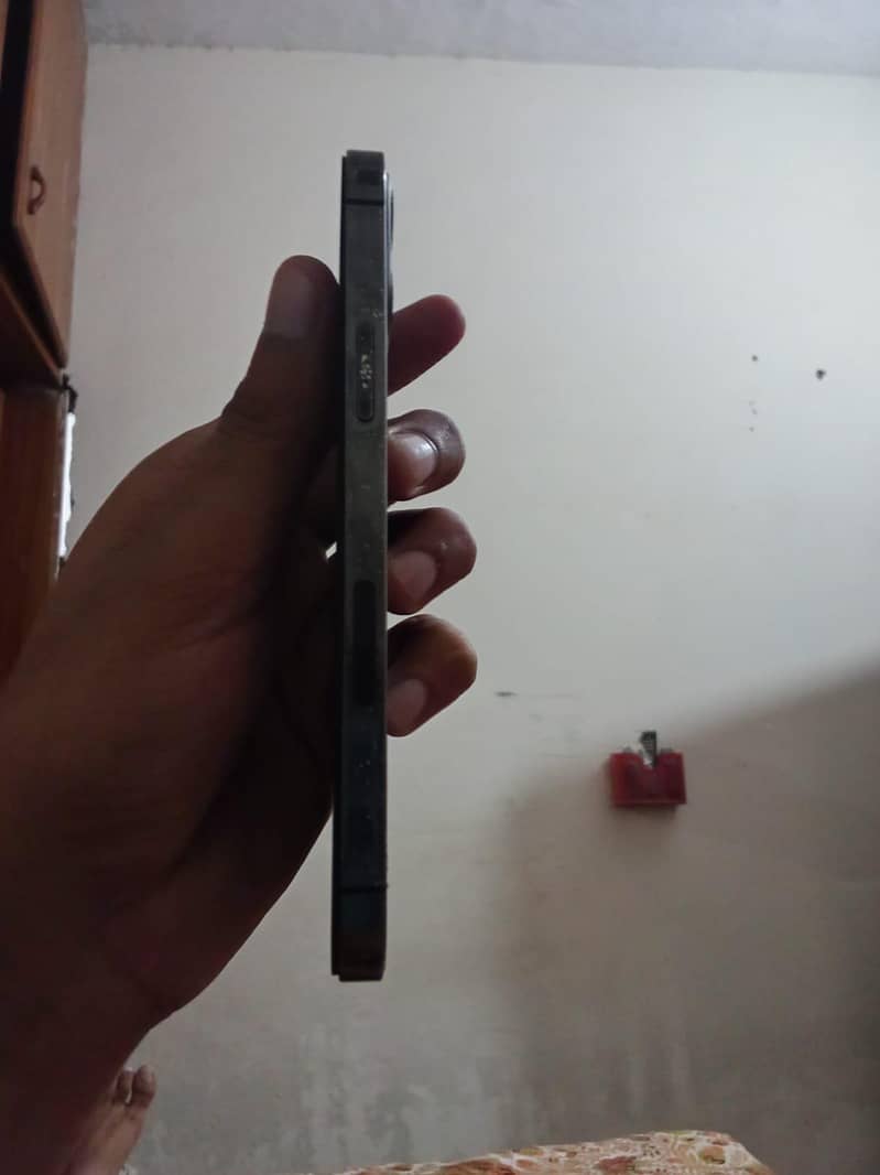 Apple 12 pro 1