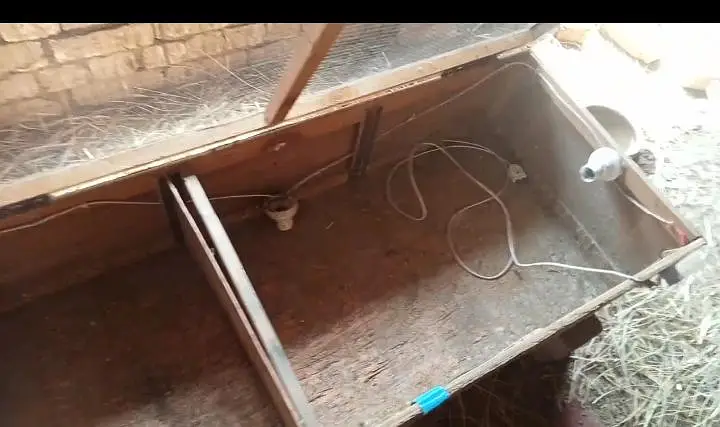 brooder — photo 3
