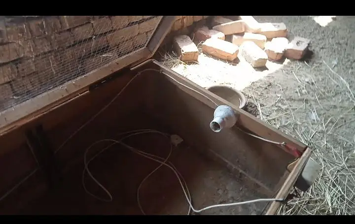 brooder — photo 7