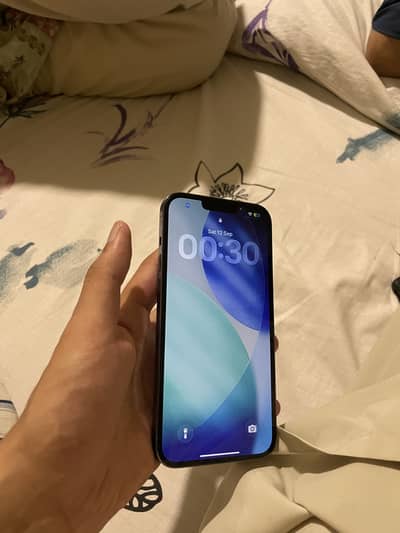 Apple iPhone 13 Pro Max