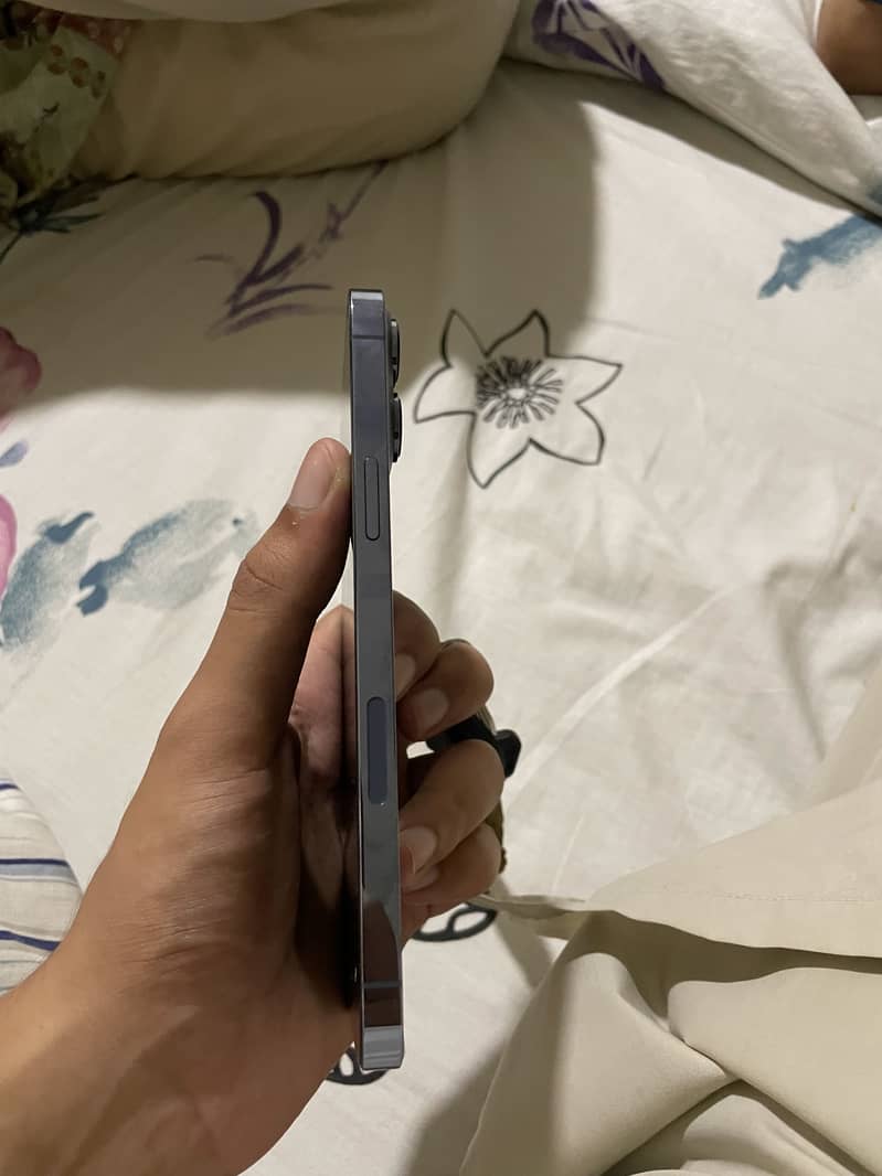Apple iPhone 13 Pro Max 5