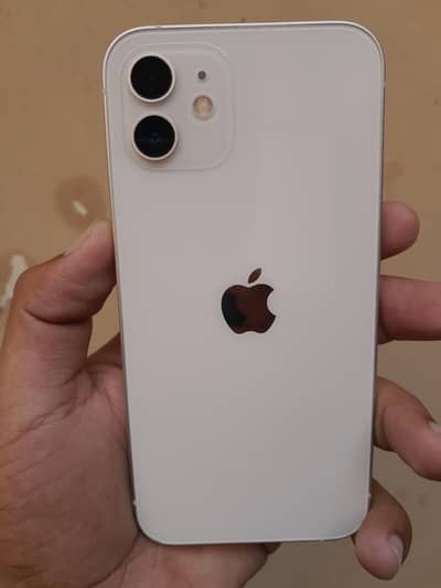 iPhone 12 Icloud locked