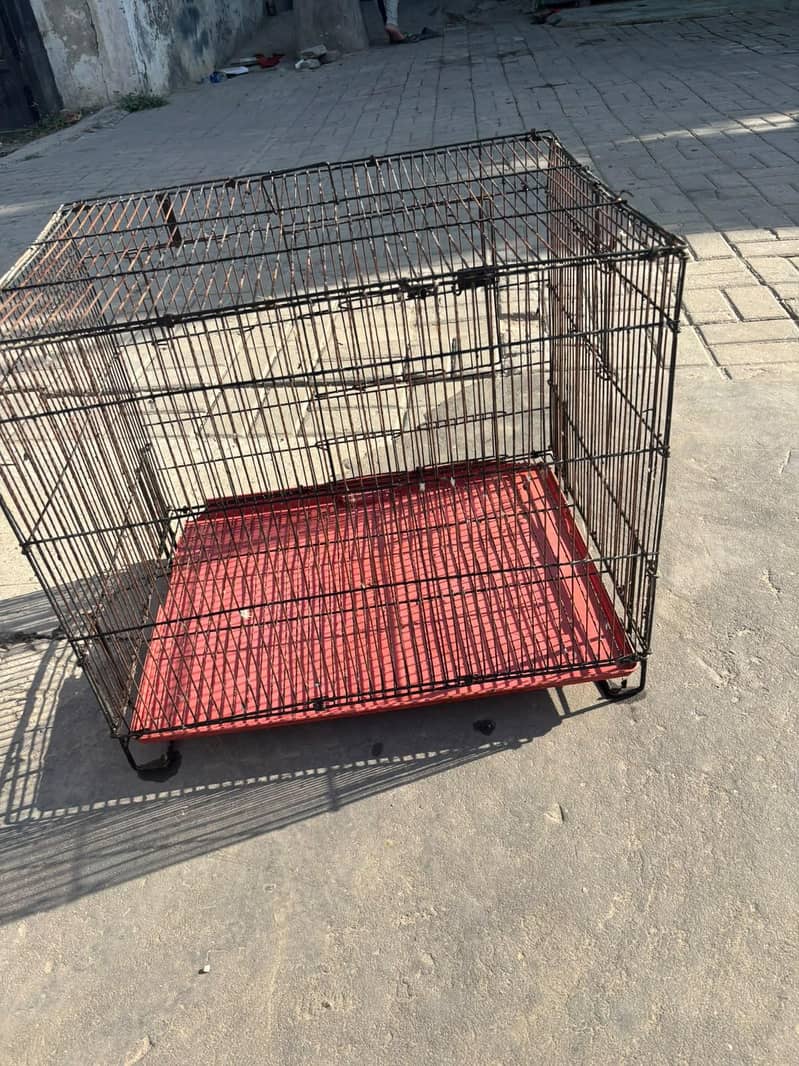 cages 2