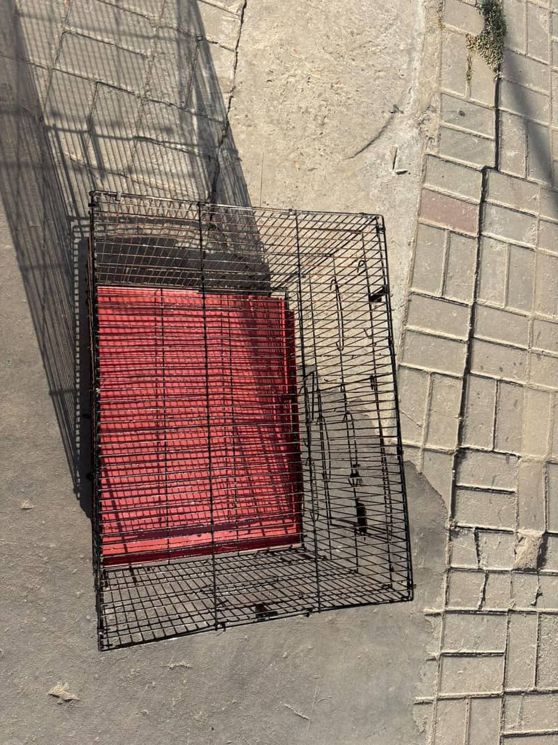 cages 3